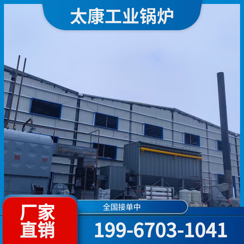 遵义冷凝燃气锅炉
